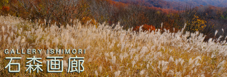 石森画廊 GALLERY ISHIMORI