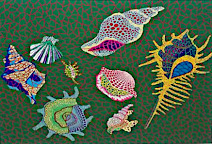 草間彌生　石森画廊